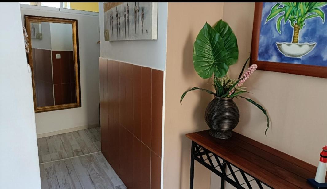 Estrella Del Mar Appartement *